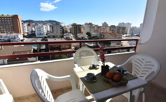 Location de Vacances Roses 882