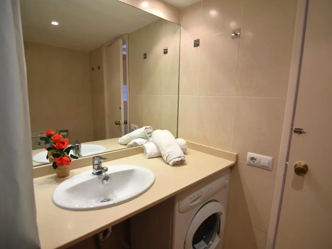 Location de Vacances Roses 883