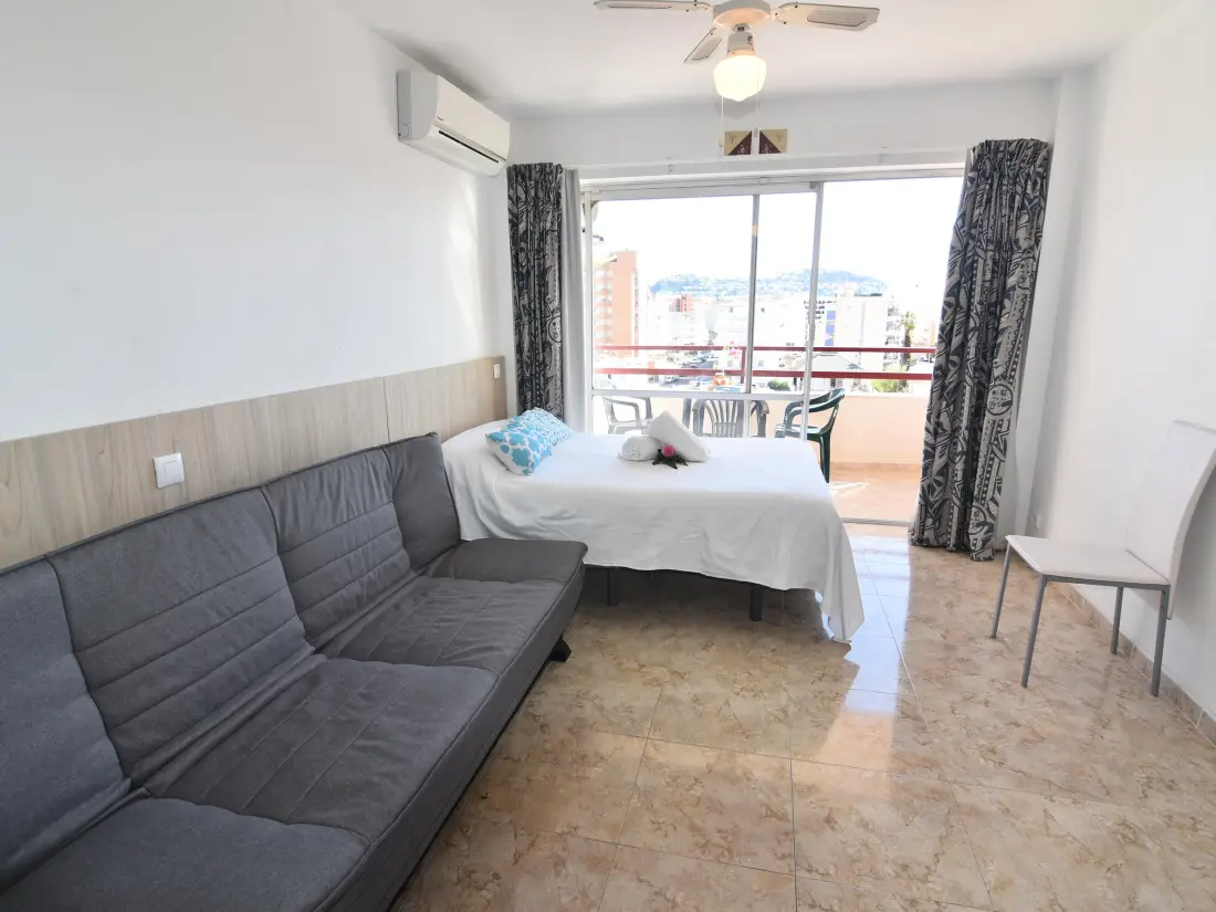 Location de Vacances Roses 883