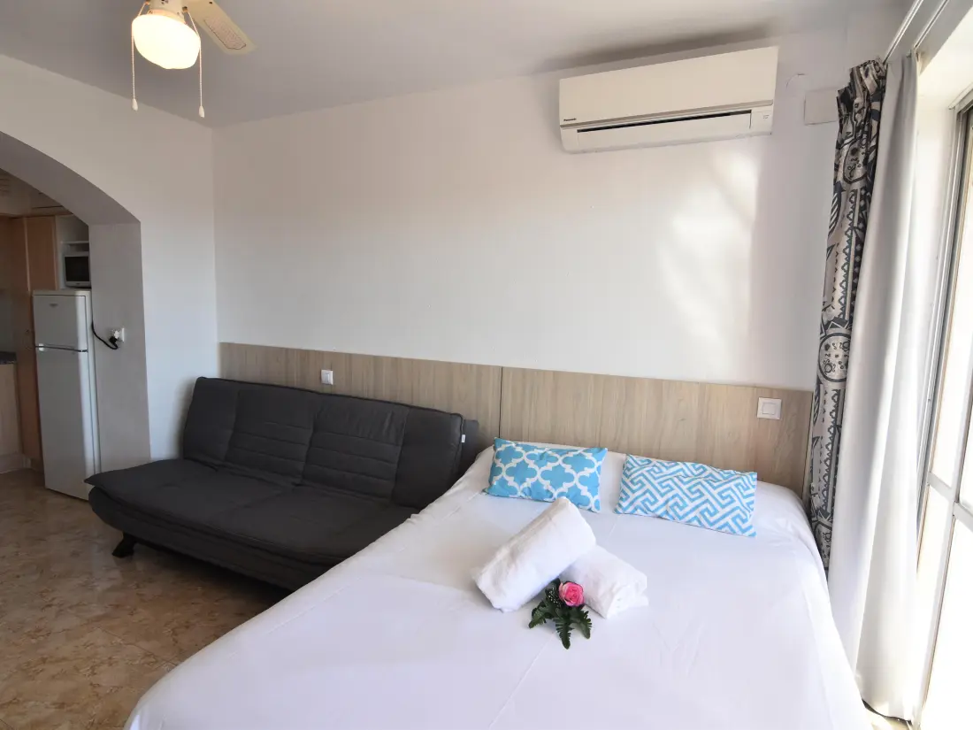 Location de Vacances Roses 883