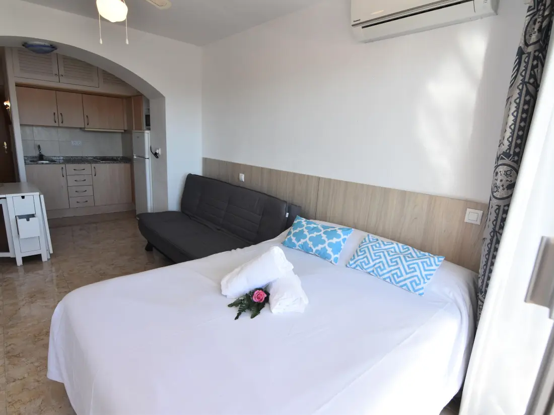 Location de Vacances Roses 883