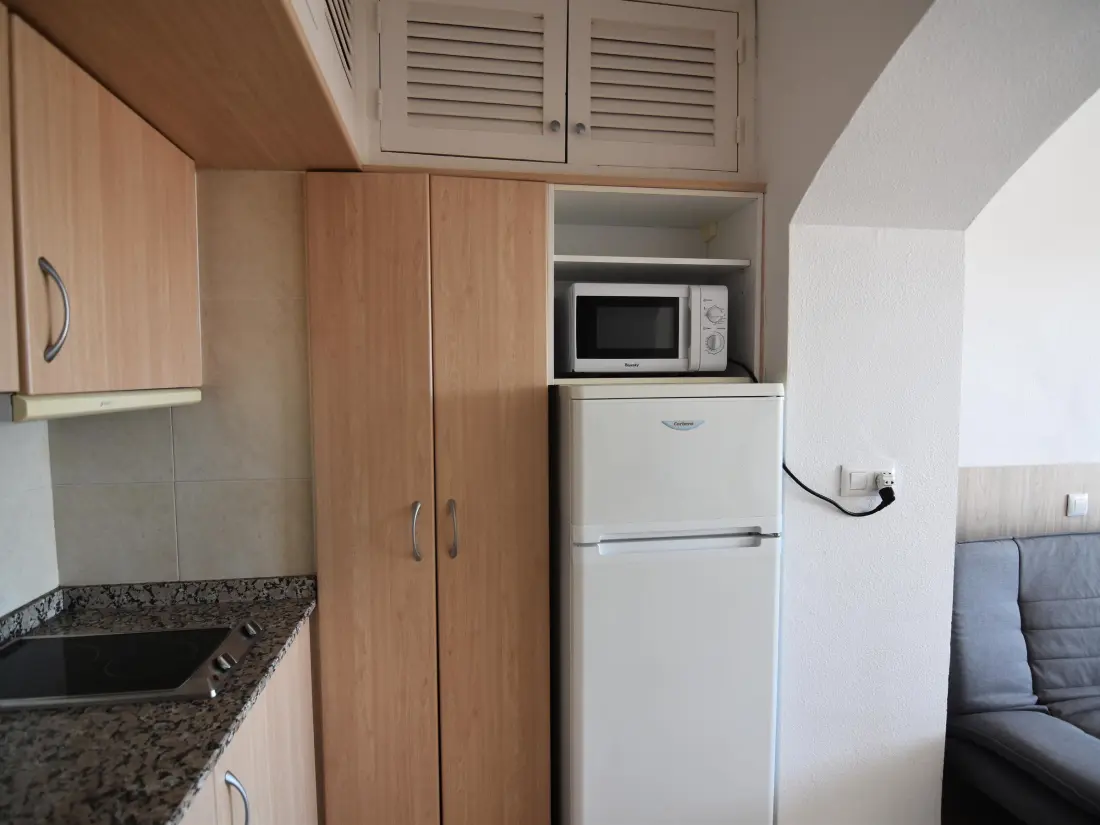 Location de Vacances Roses 883