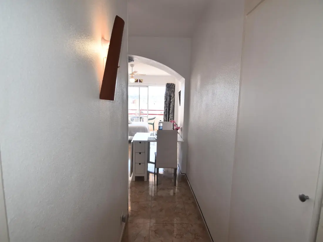 Location de Vacances Roses 883