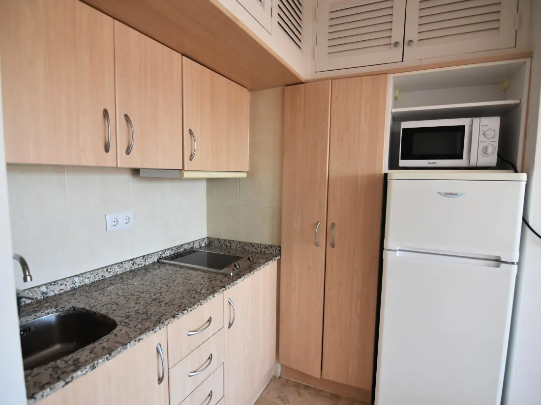 Location de Vacances Roses 883