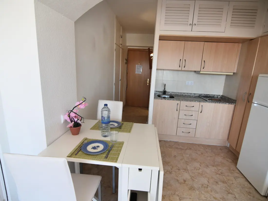 Location de Vacances Roses 883