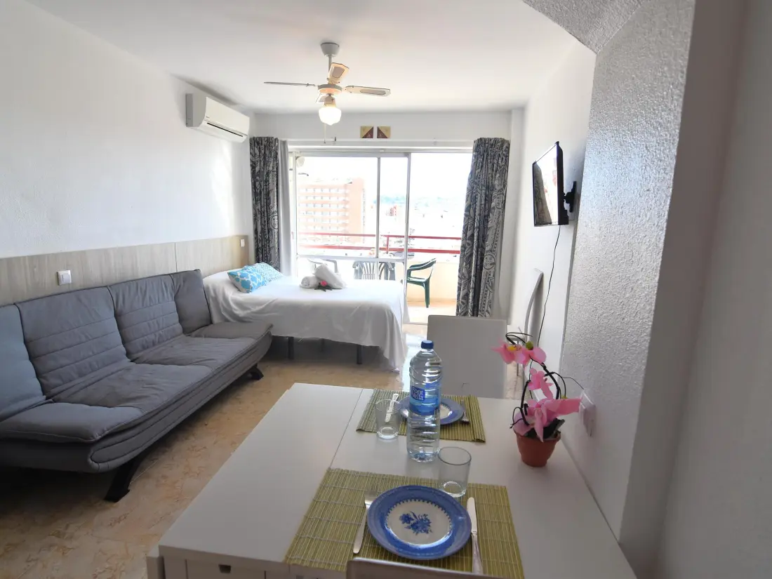 Location de Vacances Roses 883
