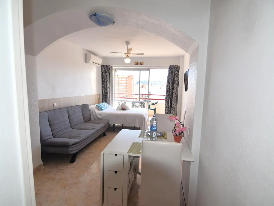Location de Vacances Roses 883