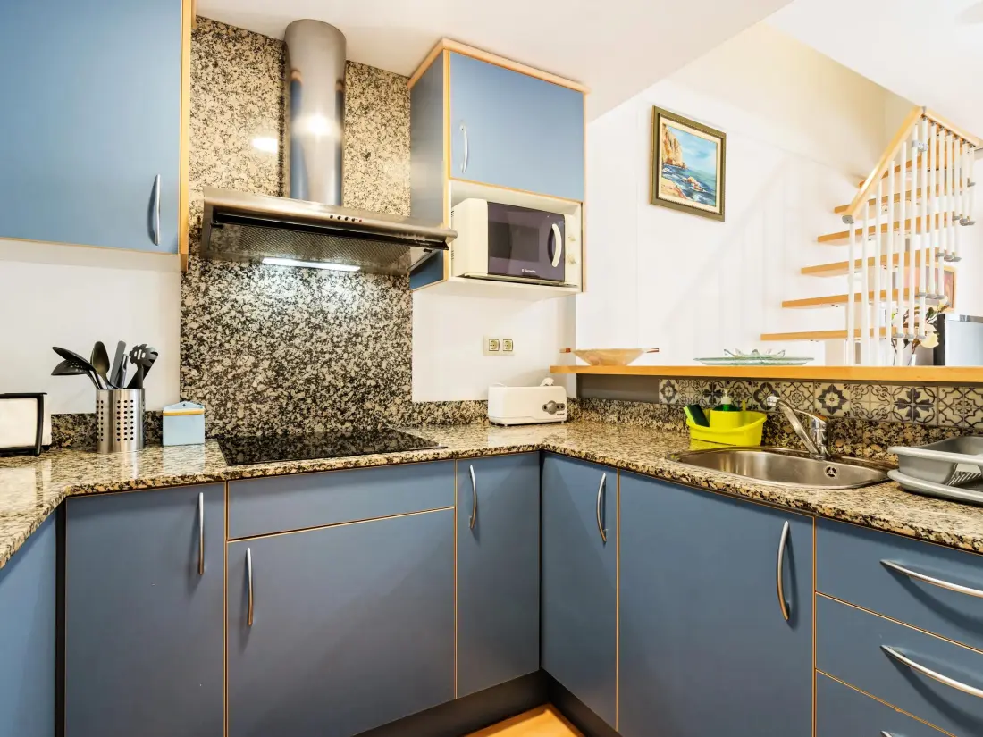 Location de Vacances Roses 885