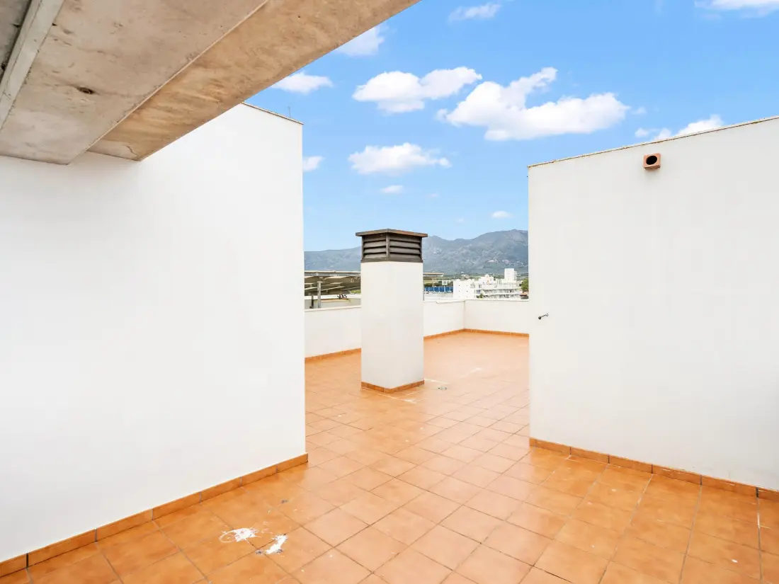 Location de Vacances Roses 885
