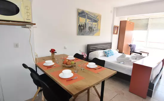 Location de Vacances Roses 886