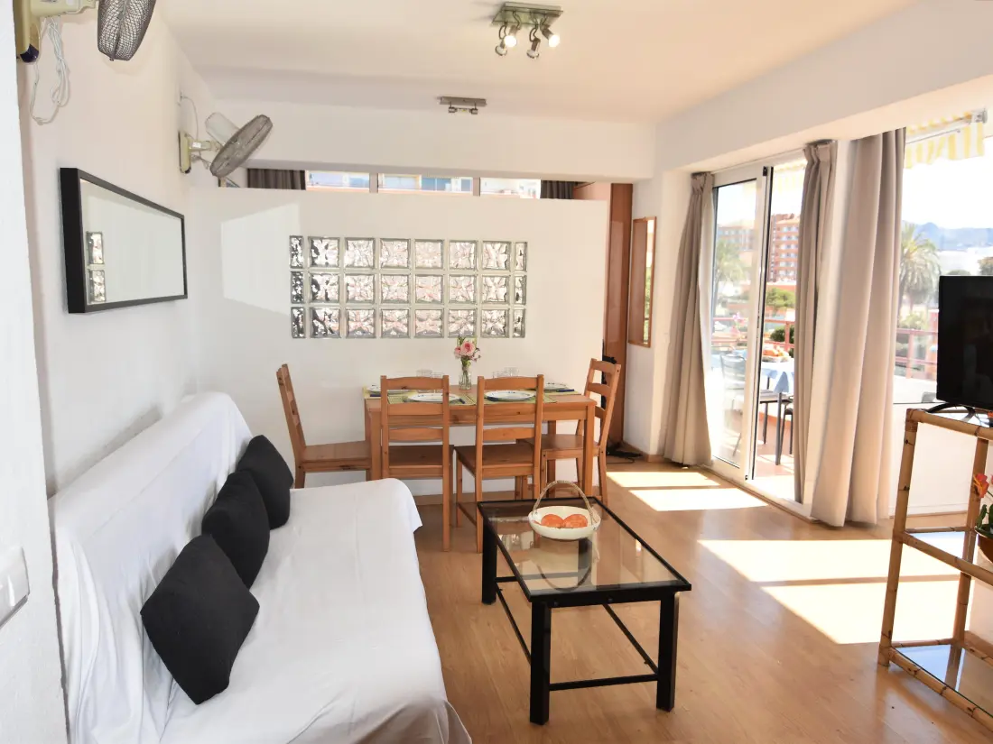 Location de Vacances Roses 889
