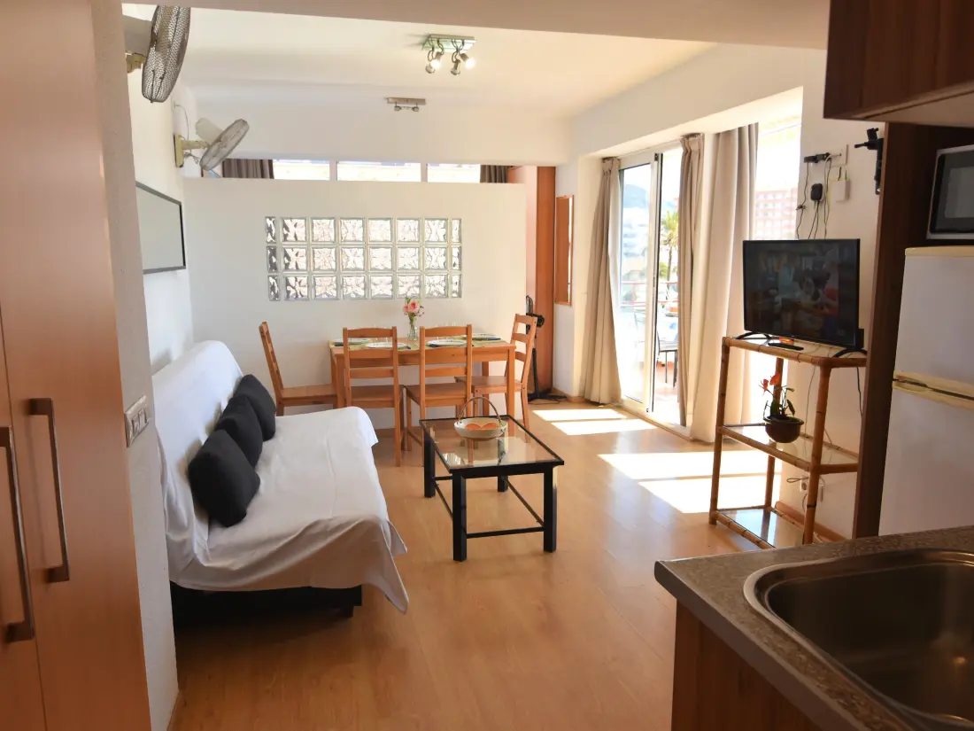 Location de Vacances Roses 889