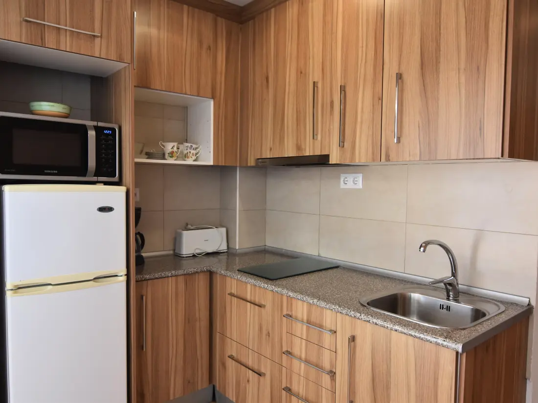 Location de Vacances Roses 889