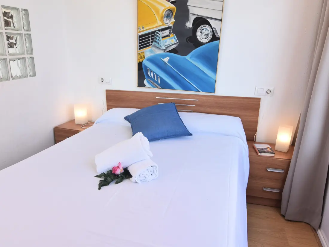 Location de Vacances Roses 889