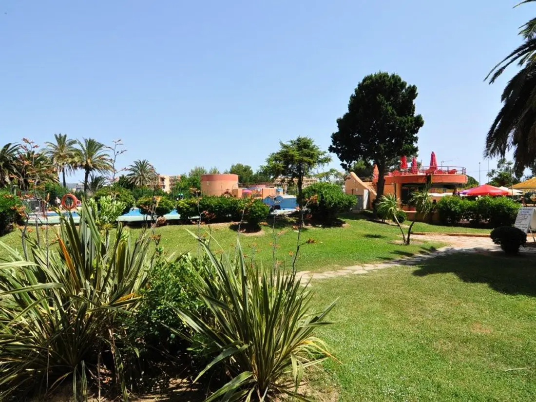 Location de Vacances Roses 889