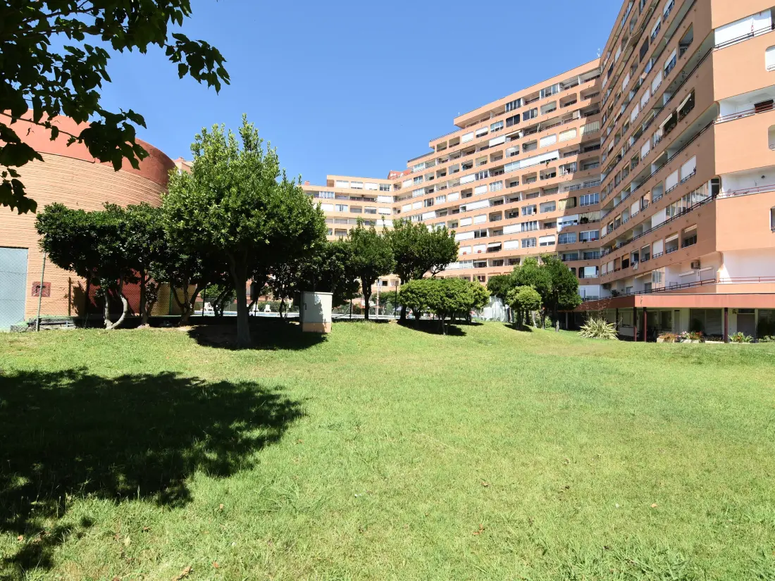 Location de Vacances Roses 889