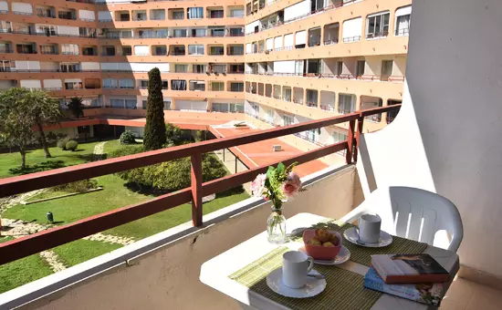 Location de Vacances Roses 890