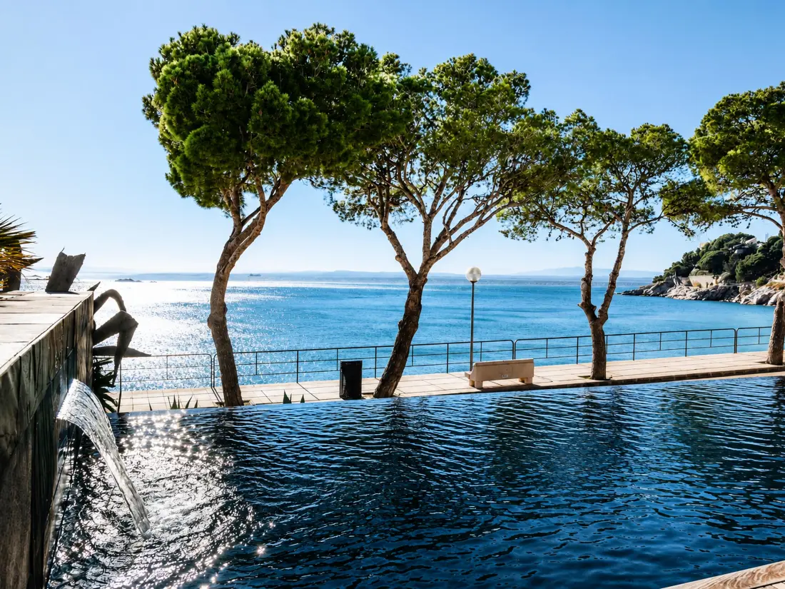 Location de Vacances Roses 894