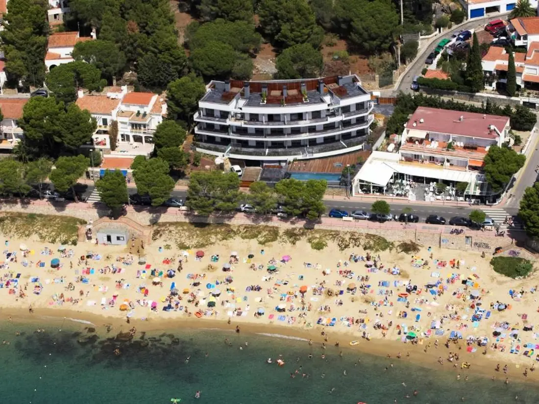 Location de Vacances Roses 894