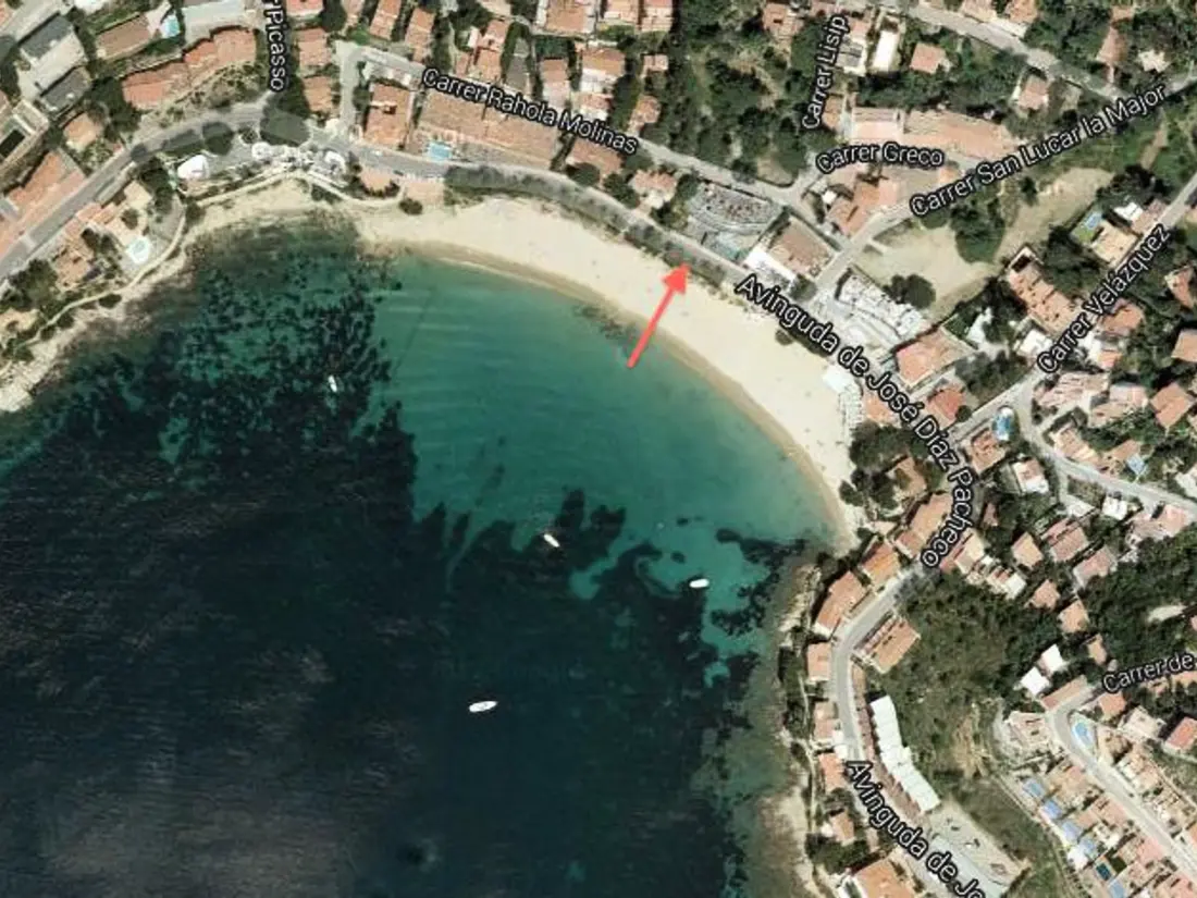 Location de Vacances Roses 894