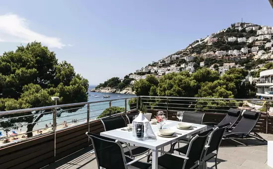 Location de Vacances Roses 903