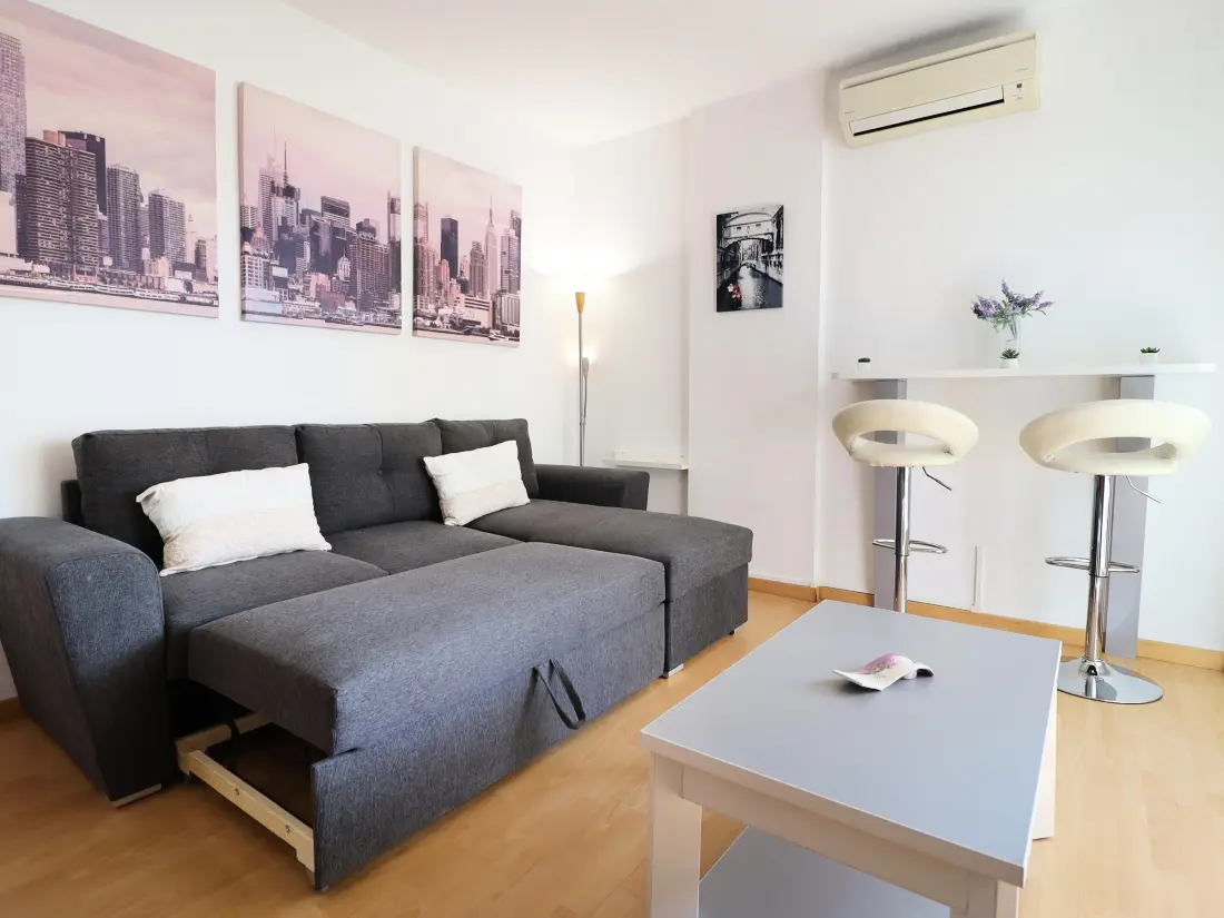 Location de Vacances Roses 912