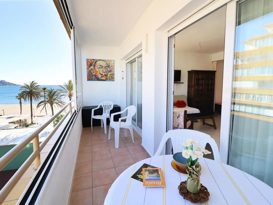 Location de Vacances Roses 913