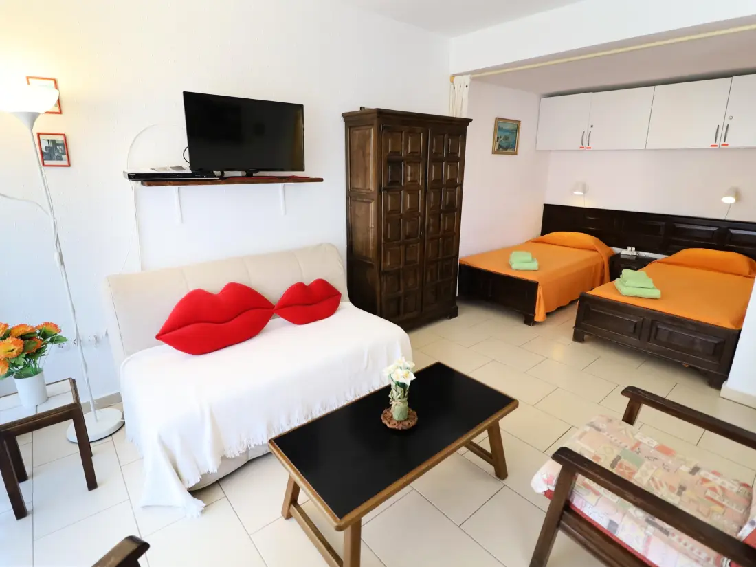 Location de Vacances Roses 913