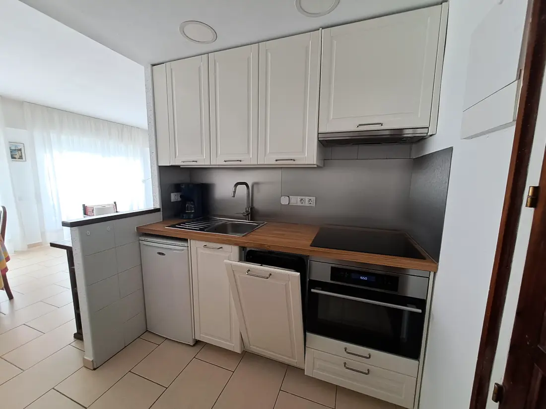 Location de Vacances Roses 913