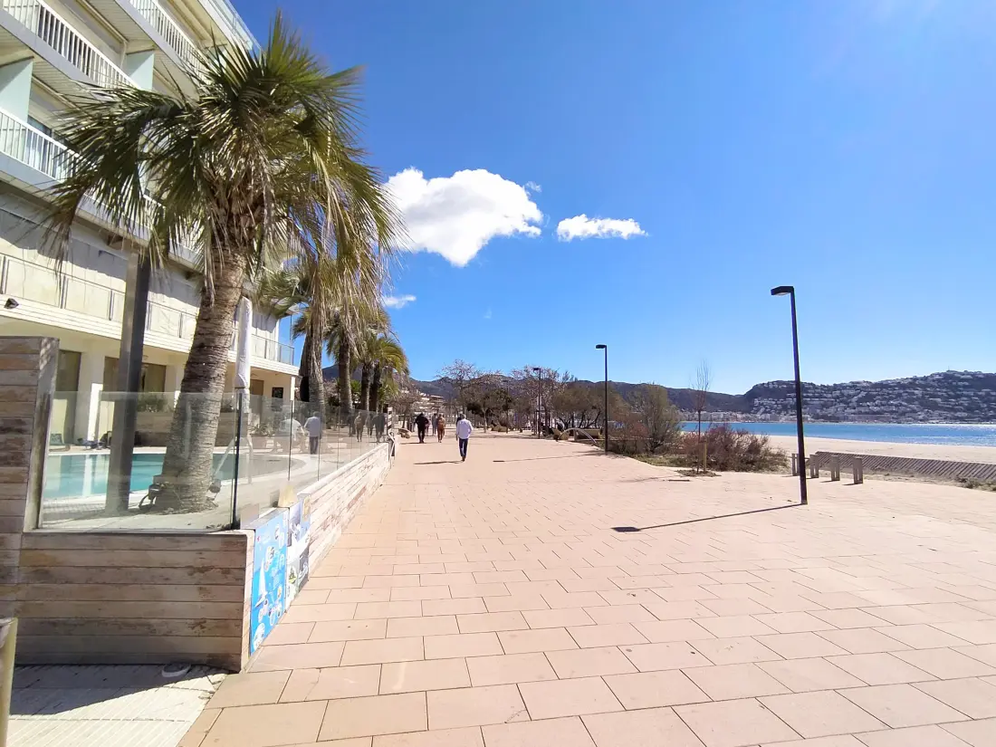 Location de Vacances Roses 914