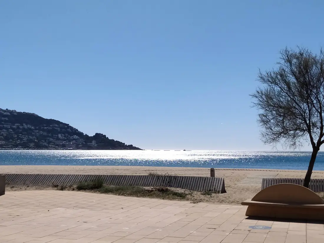 Location de Vacances Roses 914