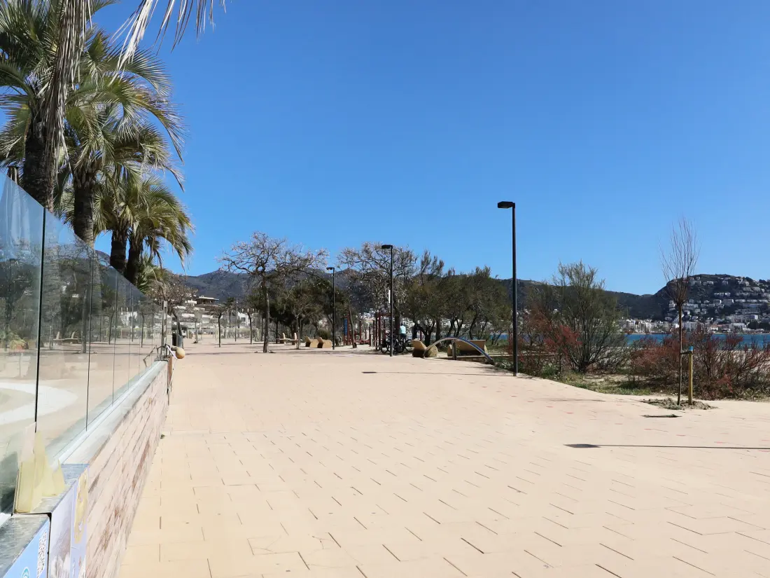 Location de Vacances Roses 914