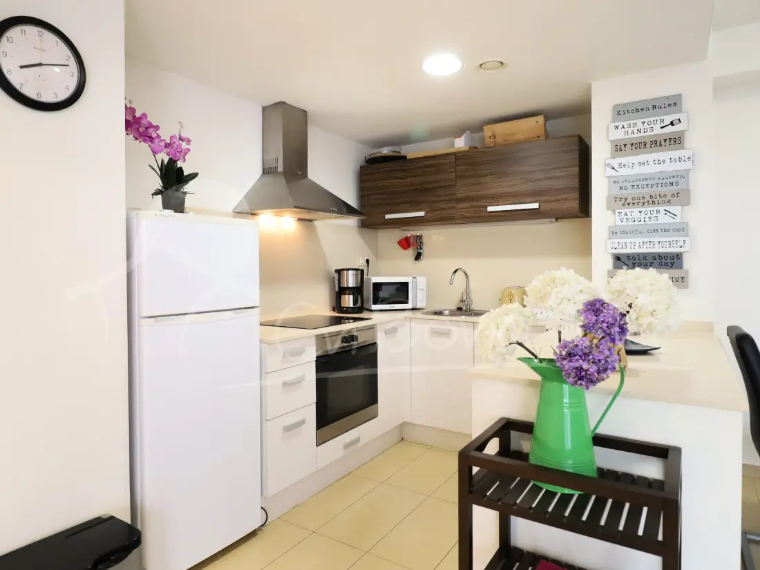 Location de Vacances Roses 914