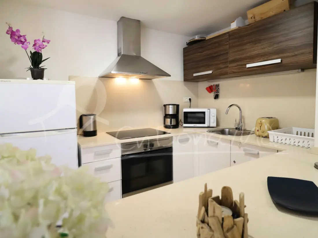 Location de Vacances Roses 914