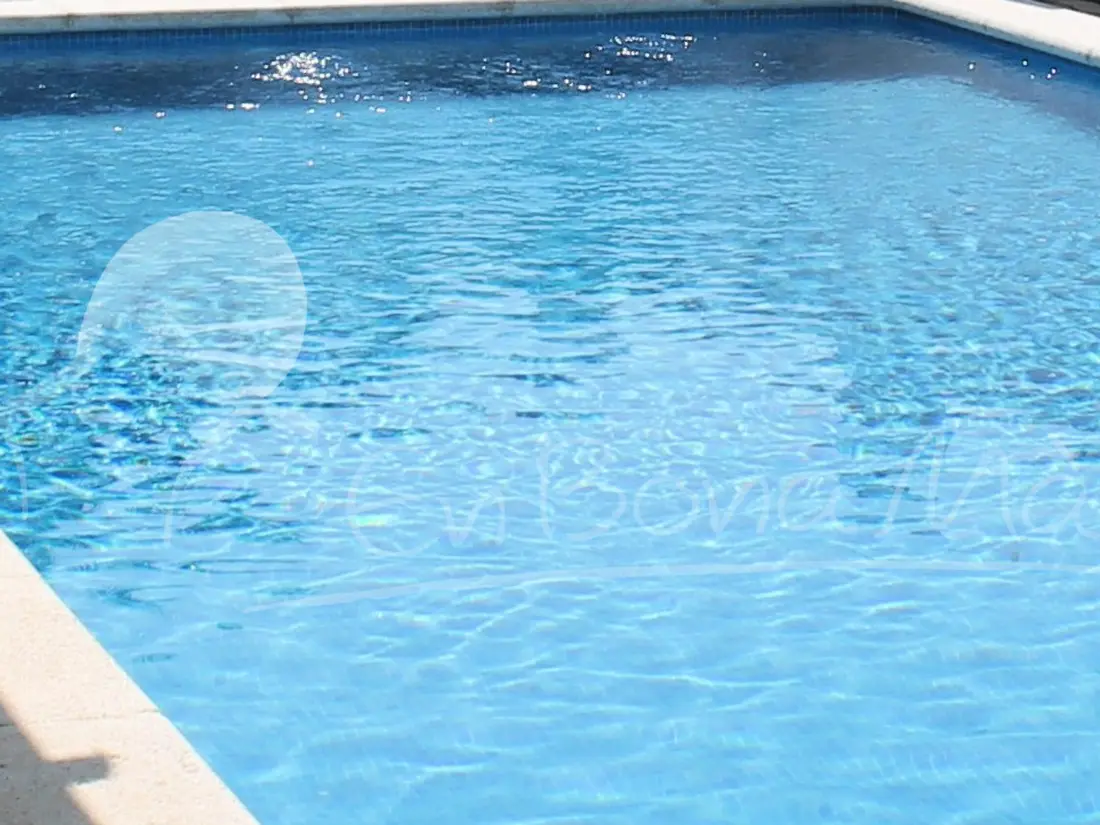 Location de Vacances Roses 917