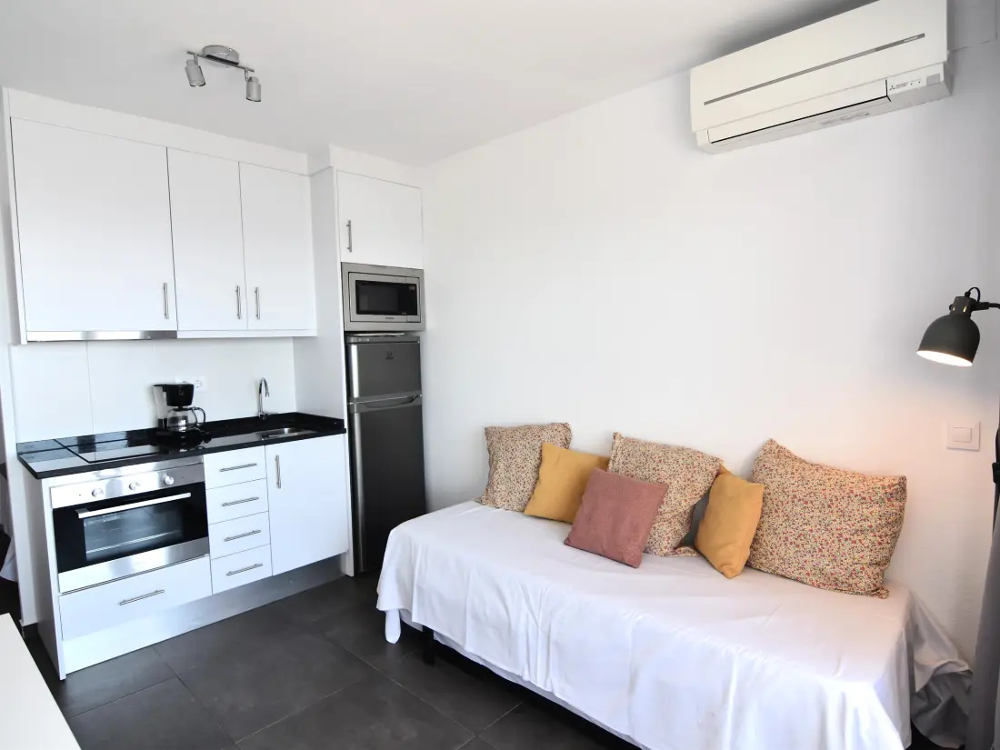Location de Vacances Roses 919