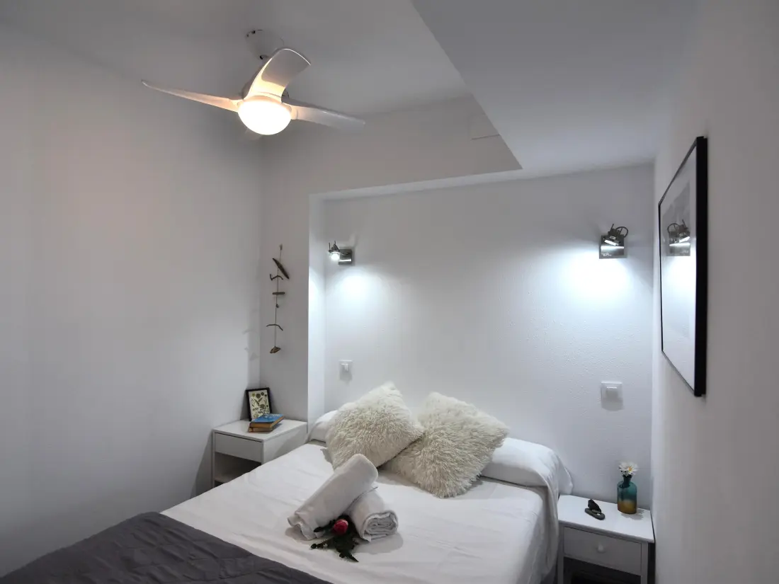 Location de Vacances Roses 919
