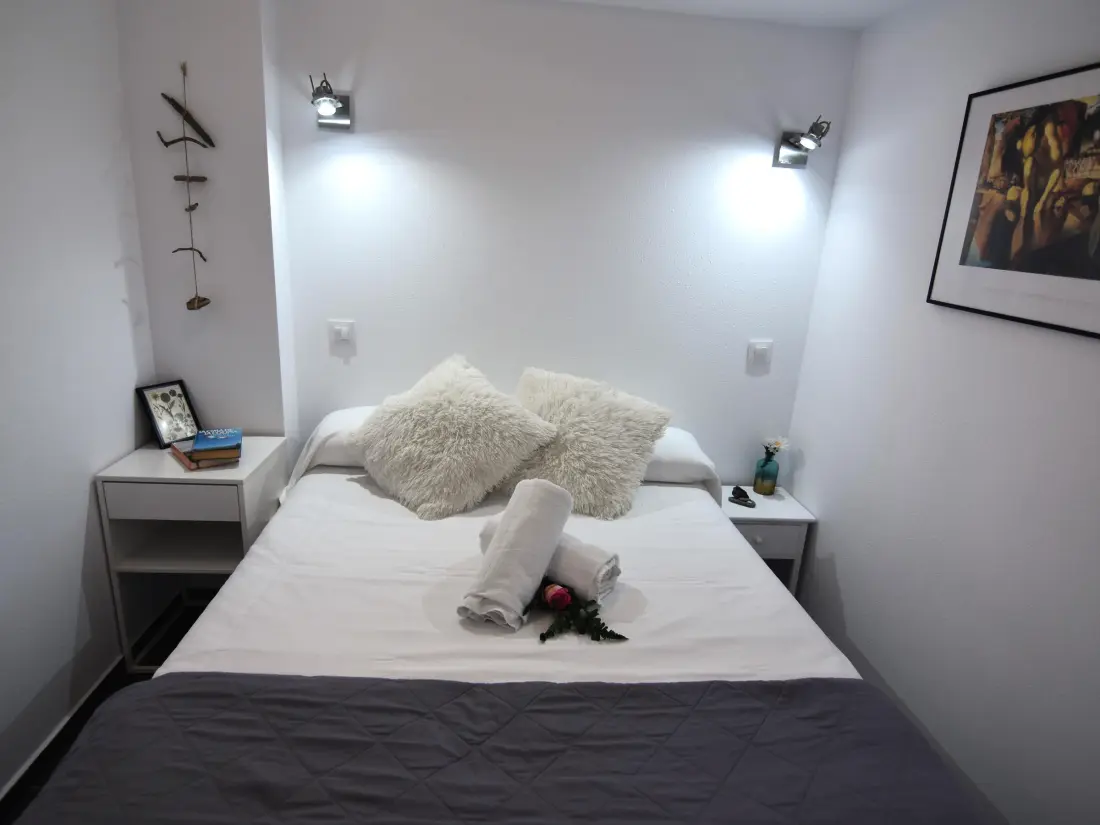 Location de Vacances Roses 919