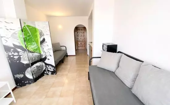 Location de Vacances Roses 931