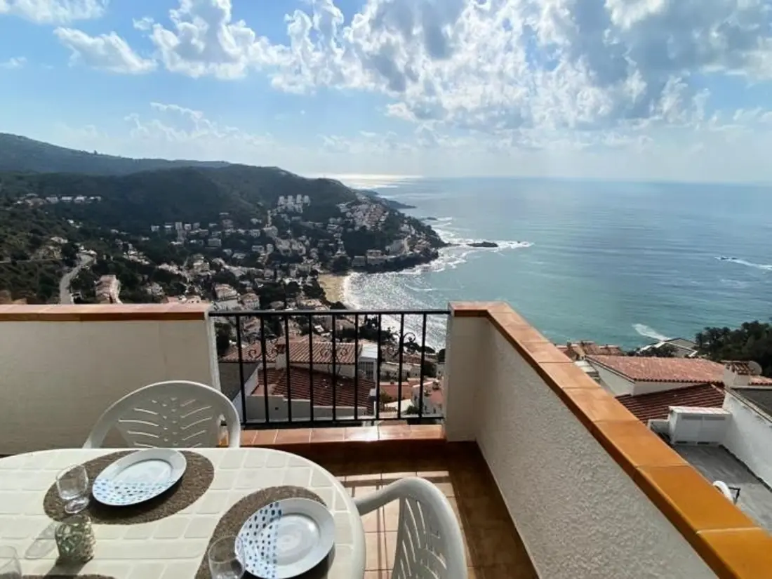 Location de Vacances Roses 932