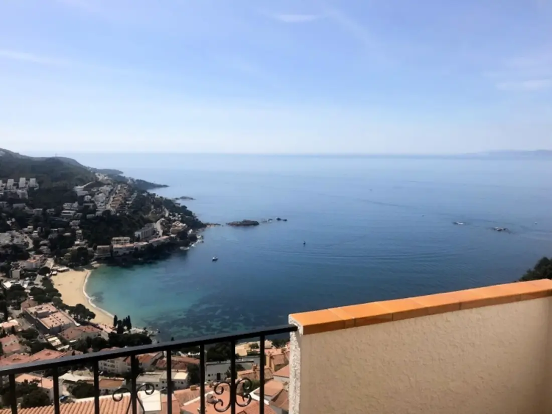 Location de Vacances Roses 932