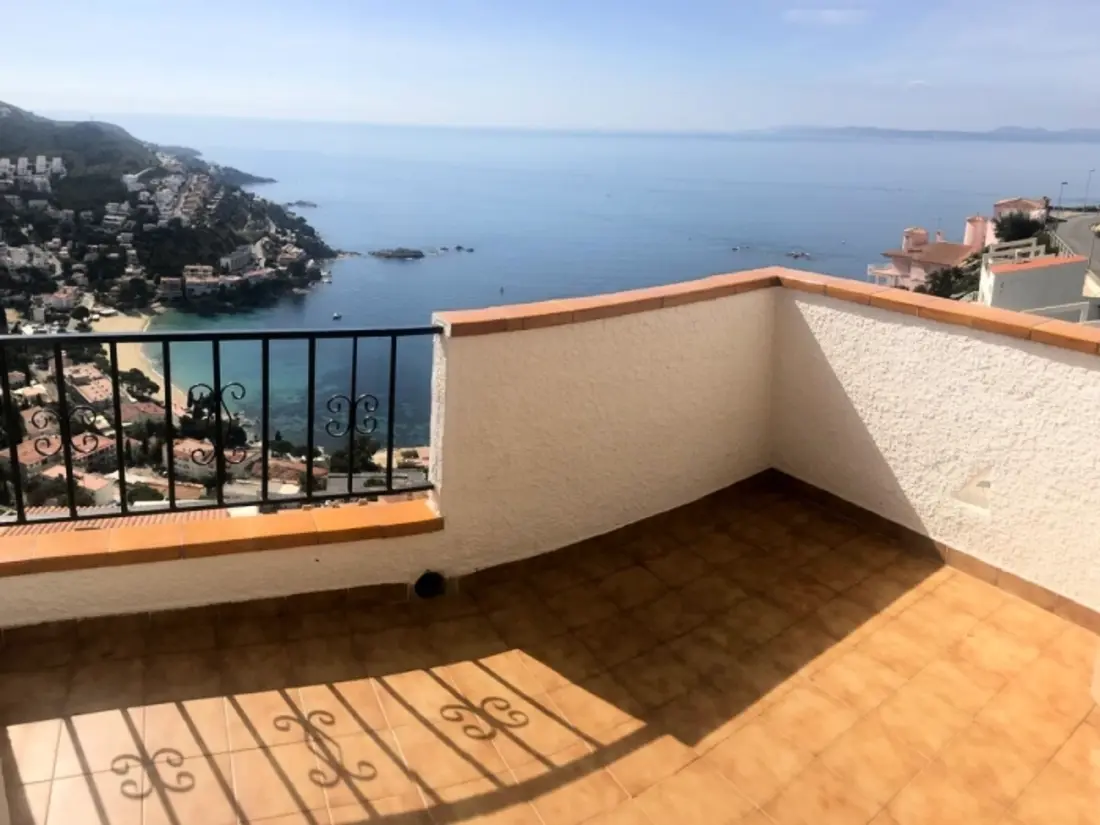 Location de Vacances Roses 932
