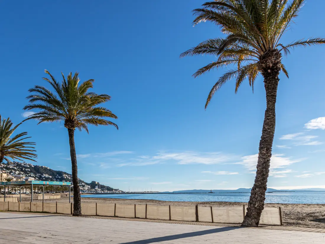 Location de Vacances Roses 940
