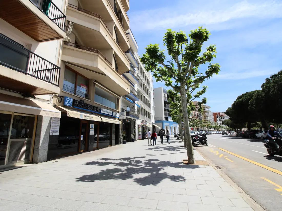 Location de Vacances Roses 941