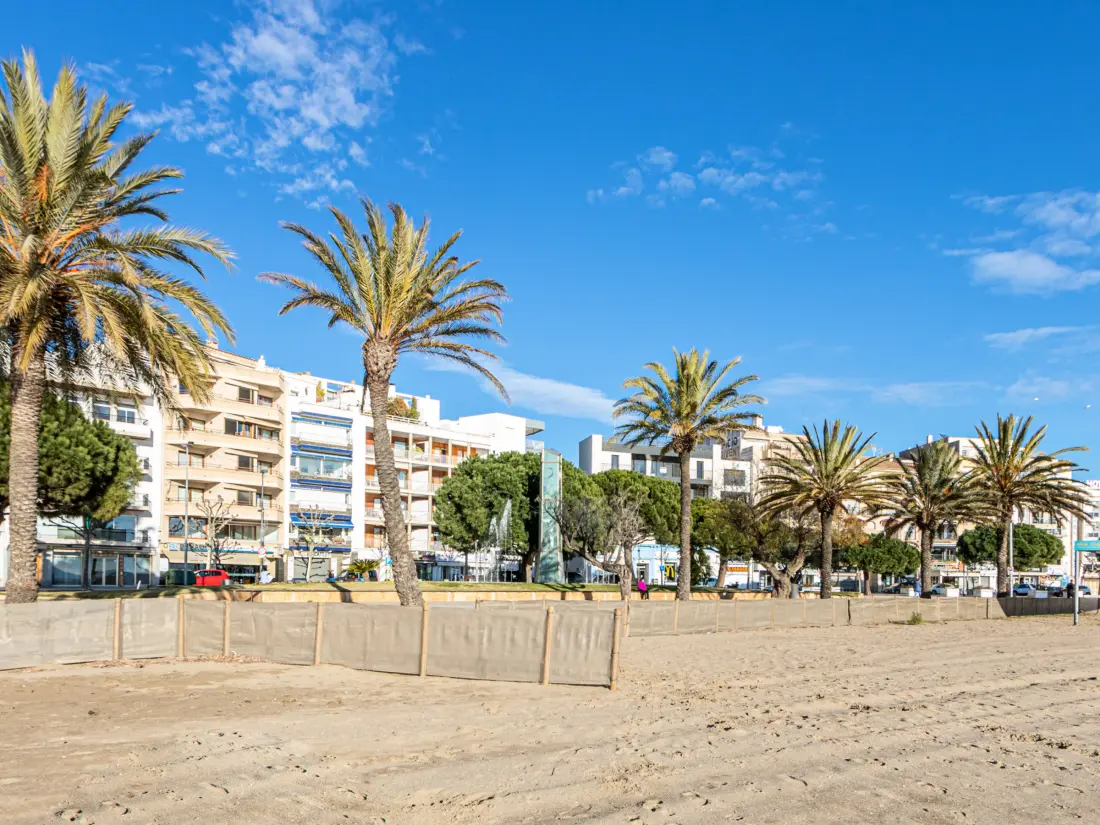 Location de Vacances Roses 941