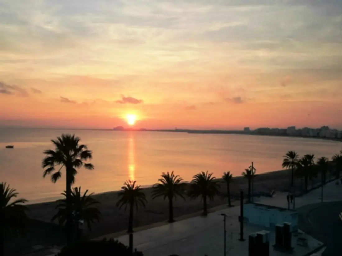 Location de Vacances Roses 941
