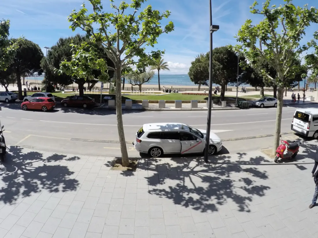 Location de Vacances Roses 941
