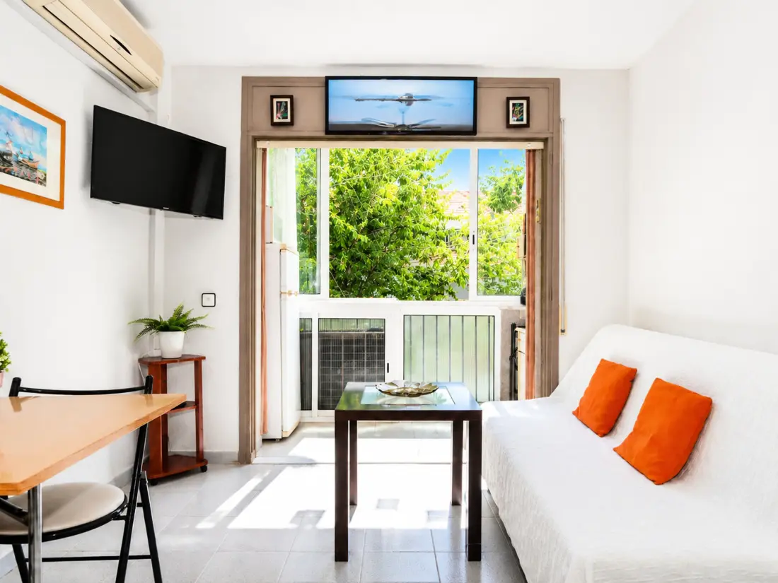 Location de Vacances Roses 946