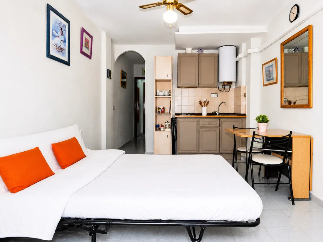 Location de Vacances Roses 946