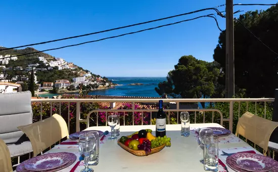 Location de Vacances Roses 947